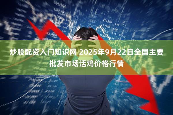 炒股配资入门知识网 2025年9月22日全国主要批发市场活鸡价格行情